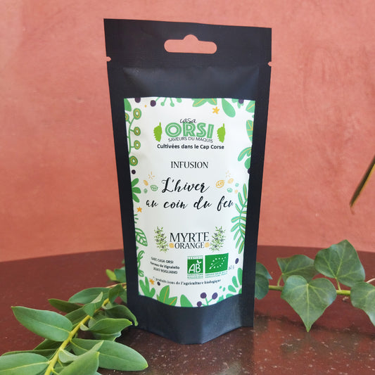 Infusion "L'hiver au coin du feu"