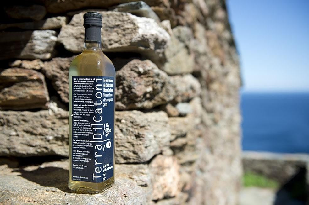 L'huile d'olive corse : un trésor liquide aux saveurs inégalées