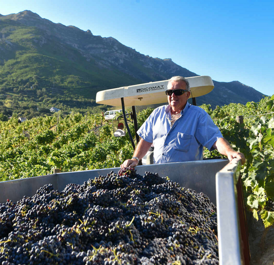 Rencontre Vigneronne GRATUIT ! Vendredi 10 avril à 18h30