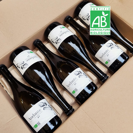 Andante 2021 – Sekt