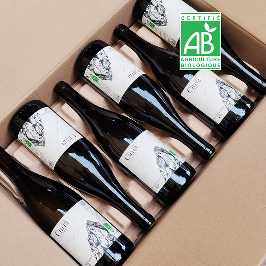Verlust 2022 – Weißwein