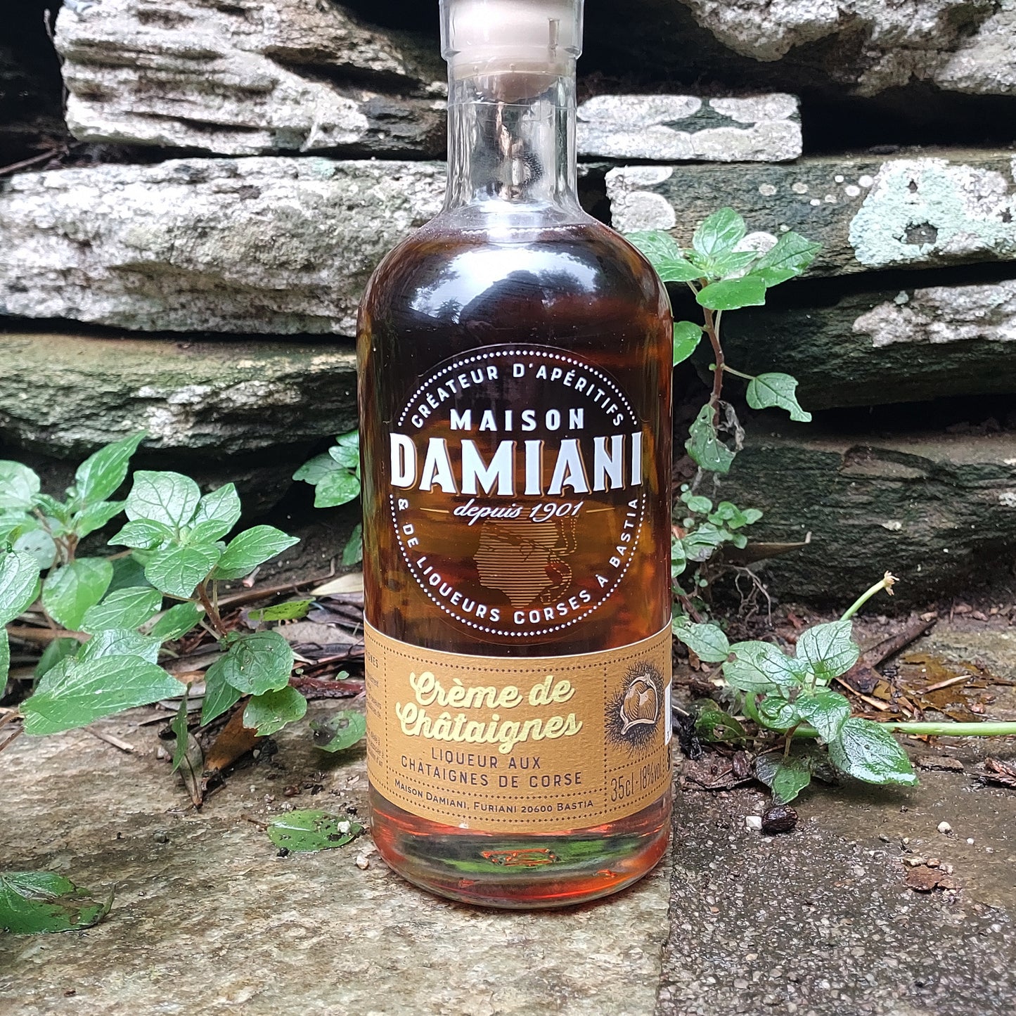 Liqueur de châtaigne Damiani