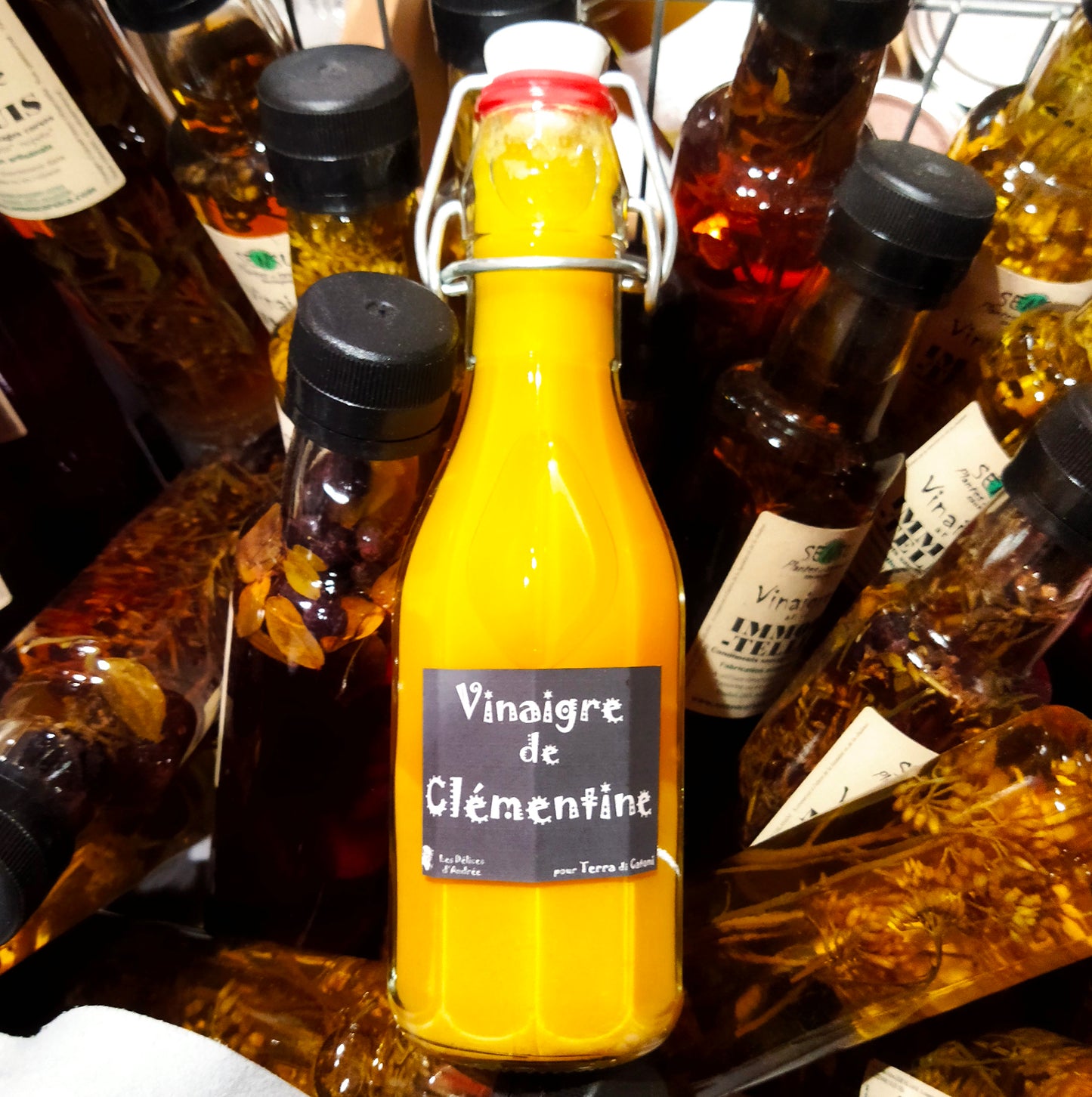 Clementine vinegar (25 cl)