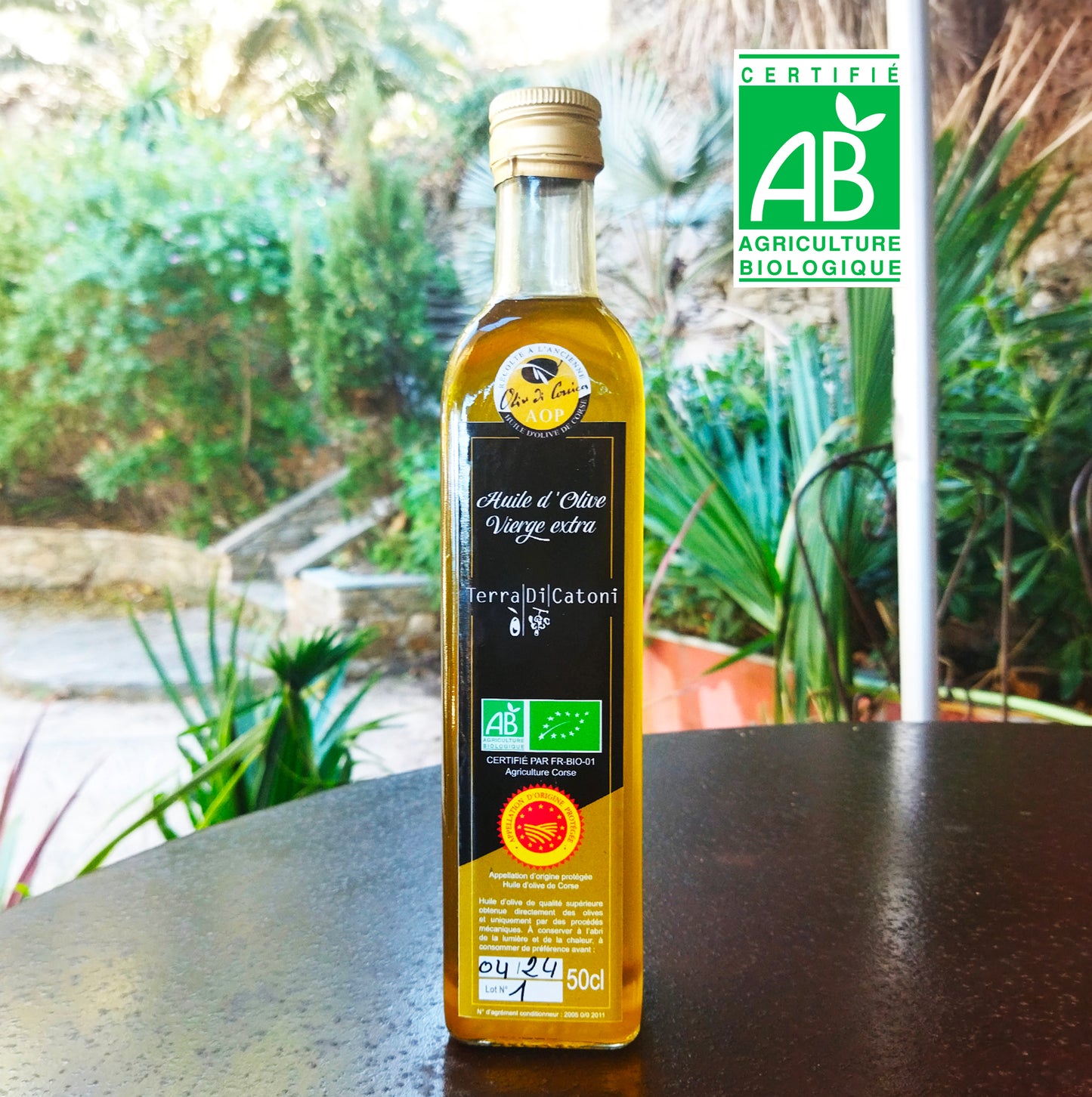 “Ripe fruity” Corsican olive oil (50cl)